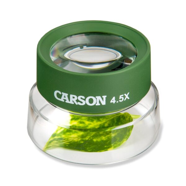 Carson BugLoupe 4.5x Power Pre-Focused Stand Magnifier Loupe - Image 2